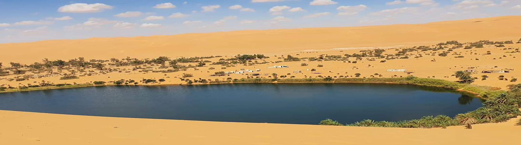 جامعة سبها