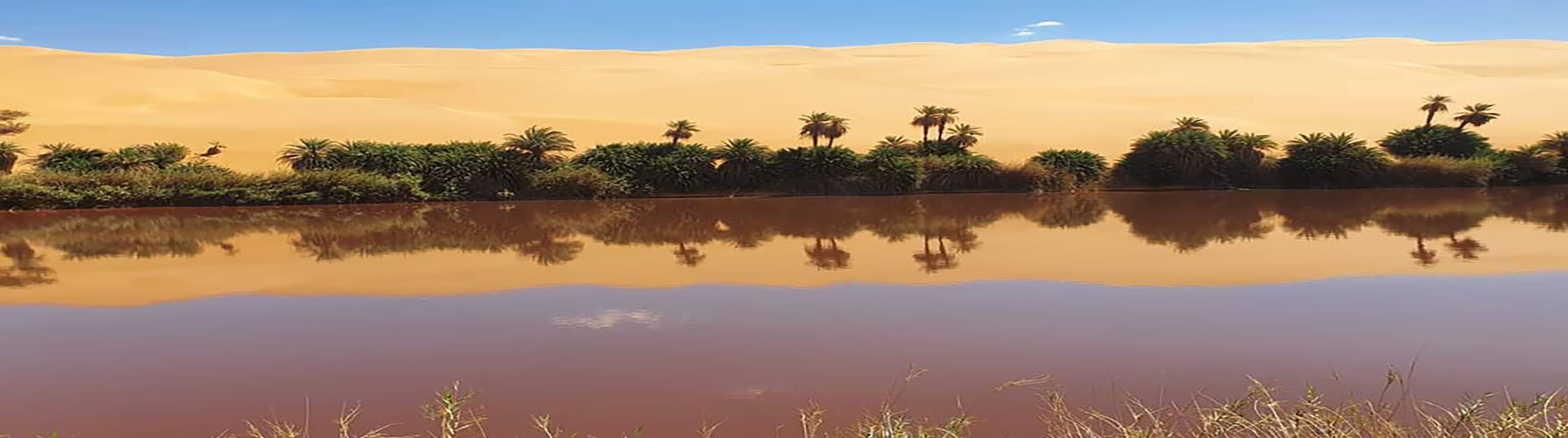 جامعة سبها