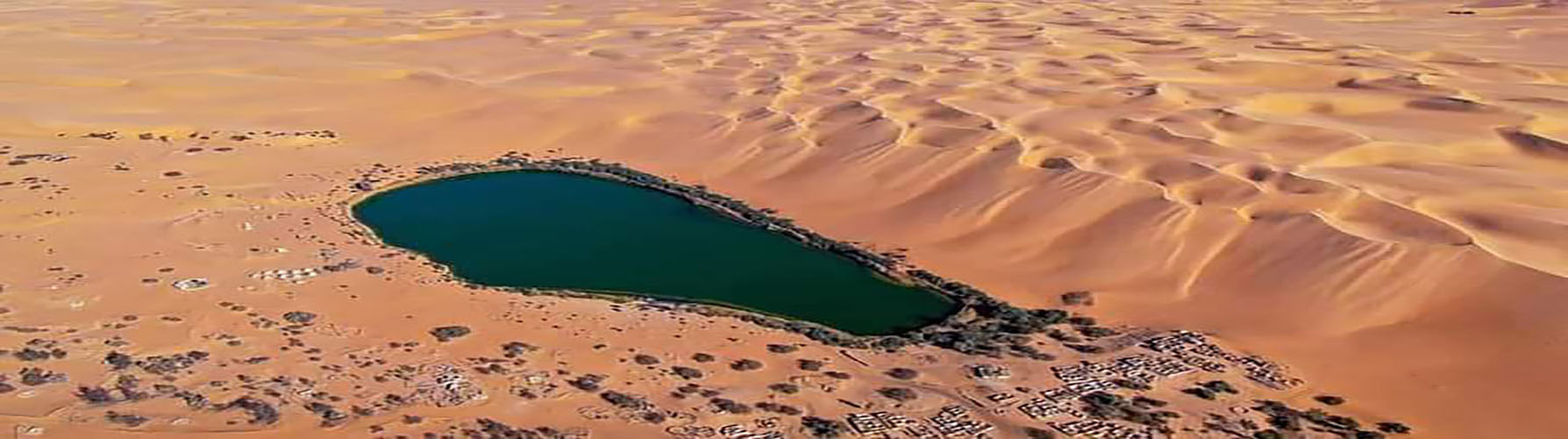 جامعة سبها