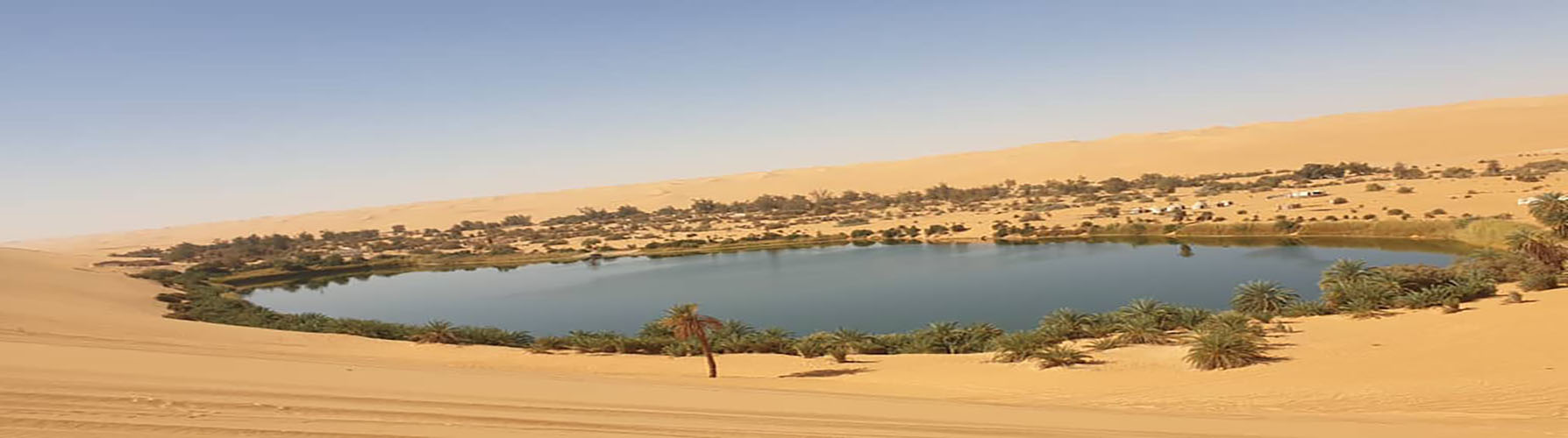 جامعة سبها